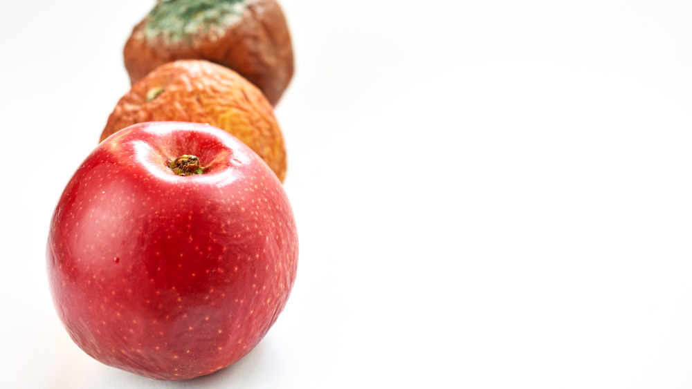 Apples and moldy oranges on a counter