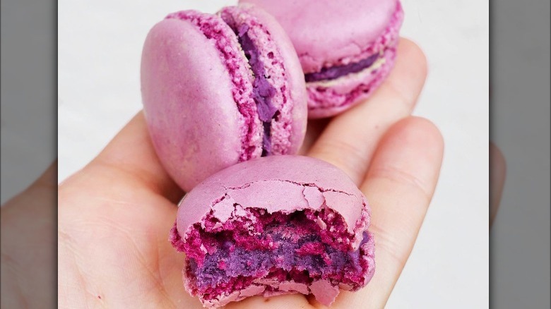 blackcurrant flavored macarons on hand