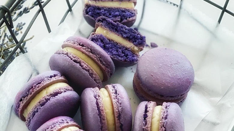 lavender color macarons shot