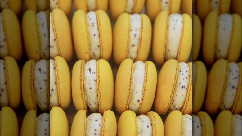 mustard flavored macarons lined up