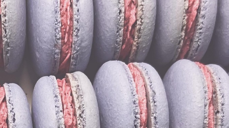 violet and blueberry macarons