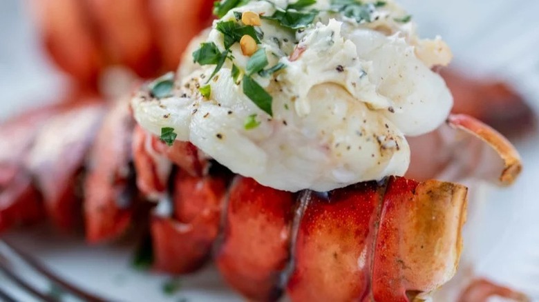 Broiled lobster tails