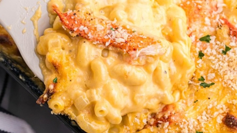 Lobster macaroni and cheese