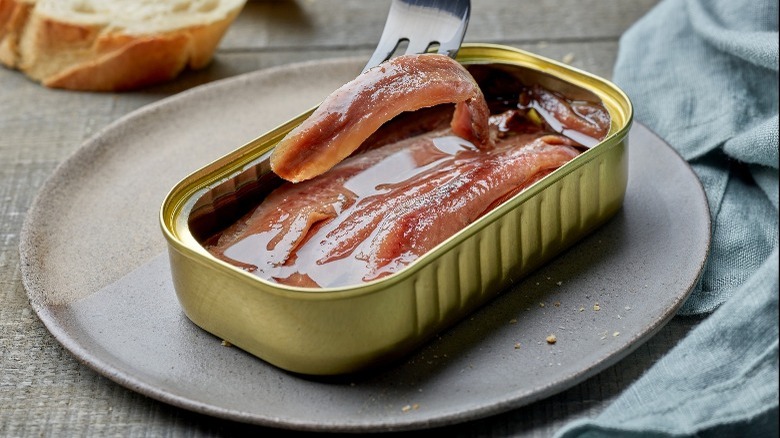 canned anchovies 