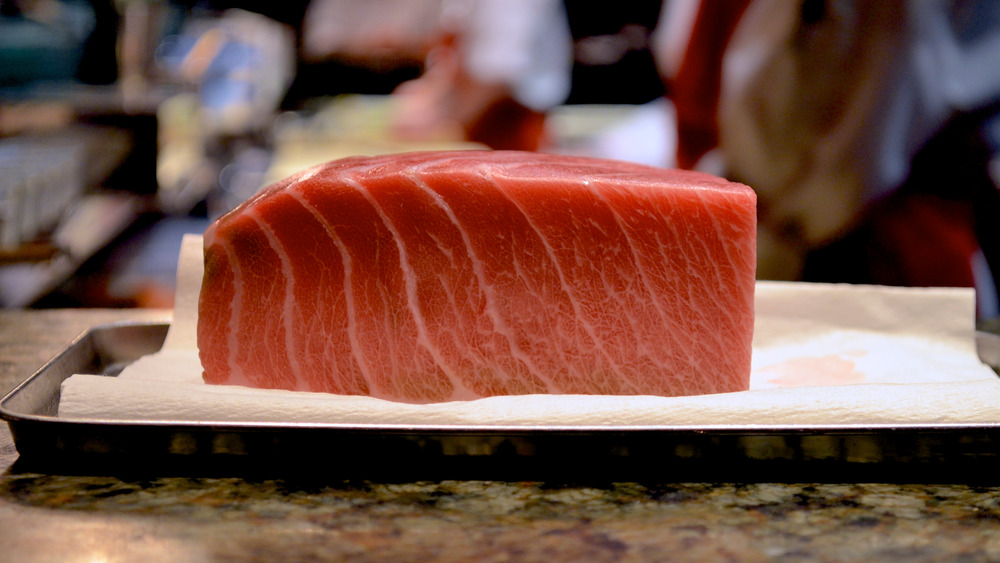 bluefin tuna