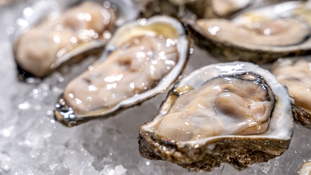 Raw oysters from a steakhouse