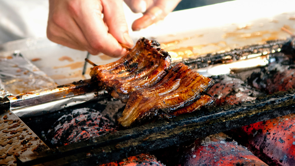 Grilled eel unagi