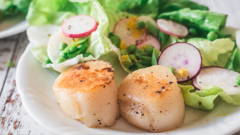 Two seared scallops with salad greens.