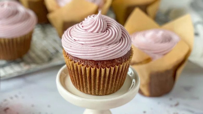 Chocolate cupcake with pink frosting swirl