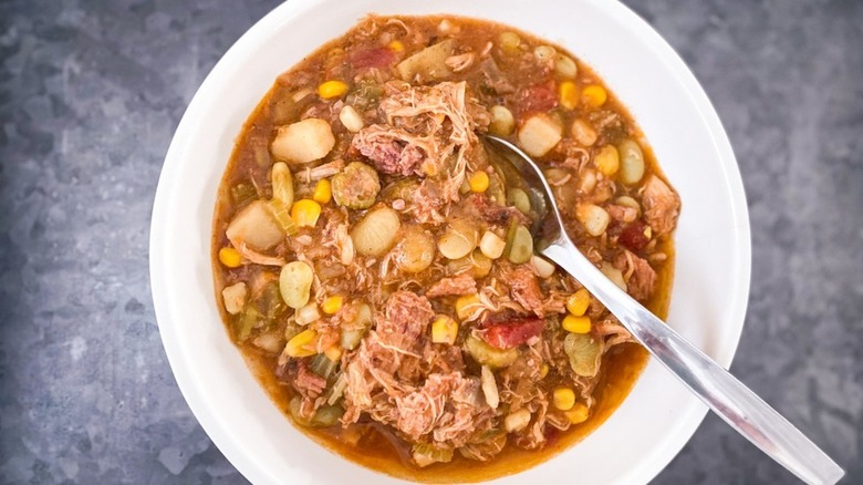 Brunswick stew with spoon