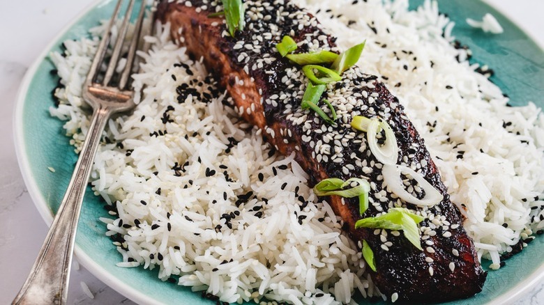 salmon and rice on plate