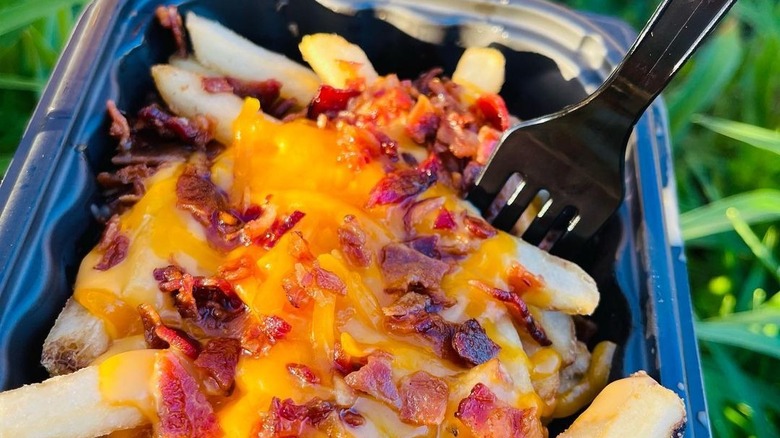 french fries with melted cheese and meat