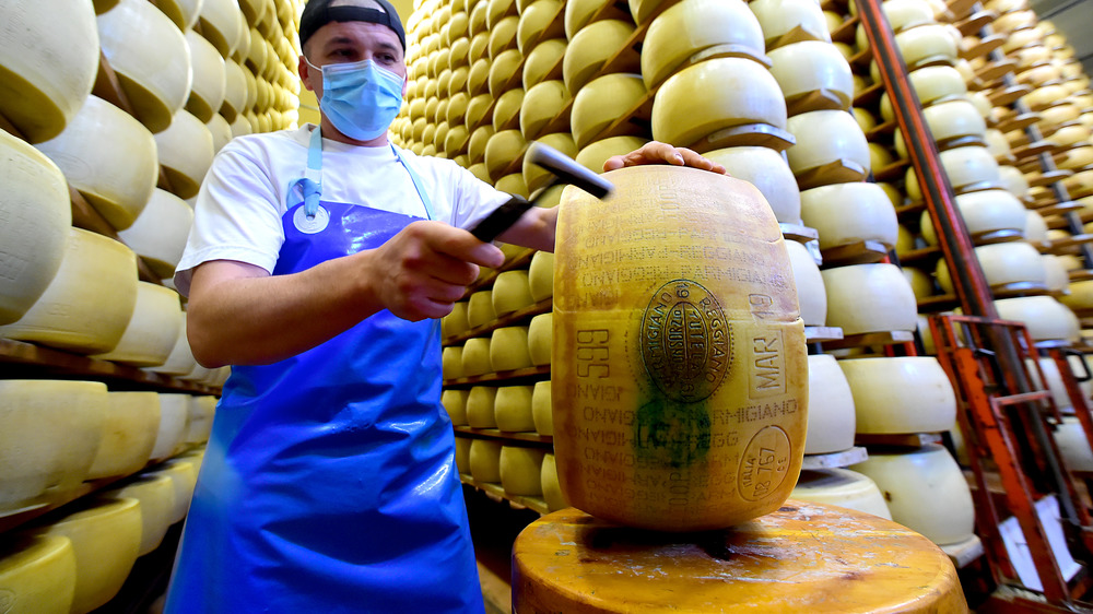 parmesan cheese factory