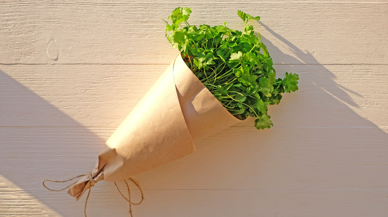 parsley wrapped in paper