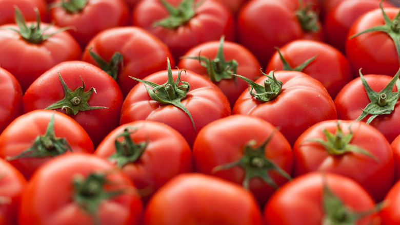 close-up tomatoes green stems