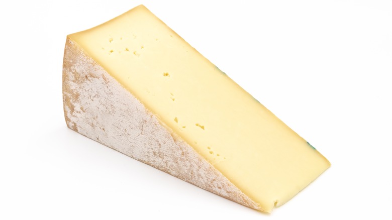 fontina cheese