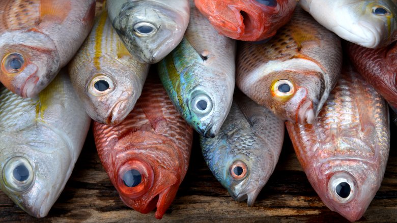 7 Types Of Seafood You Should Be Eating And 7 You Shouldn t