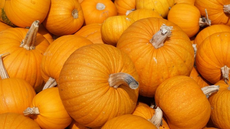 orange pumpkins outside