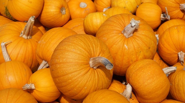 orange pumpkins outside