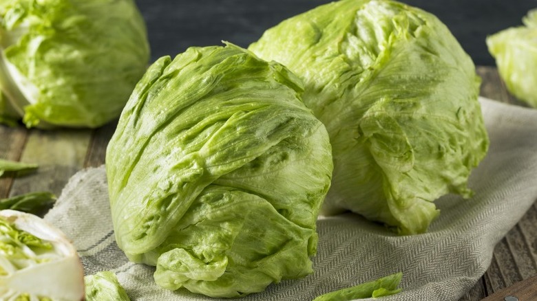 Iceberg lettuce