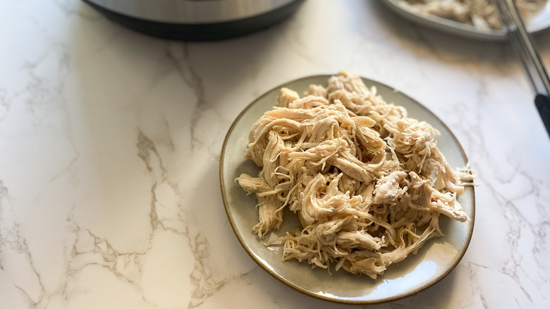 shredded chicken on white plate