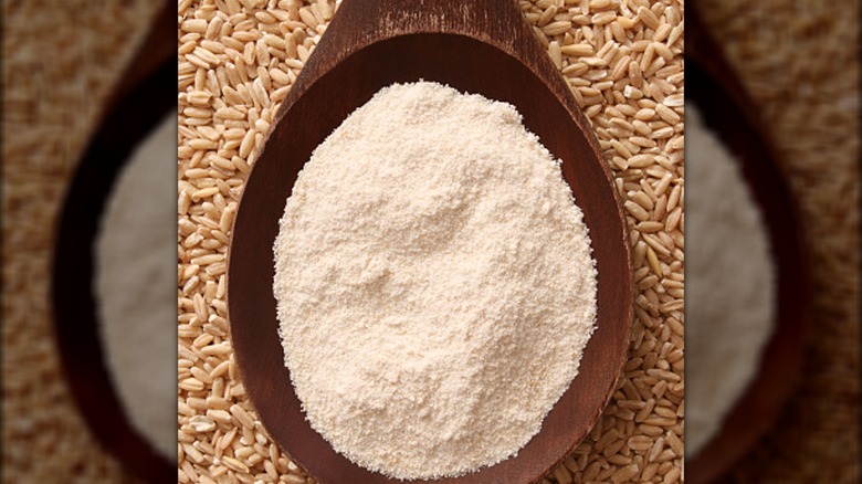 oat flour on a spoon with grain background