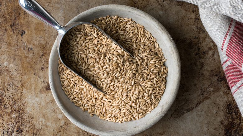 Oat groats in a bowl with scoop