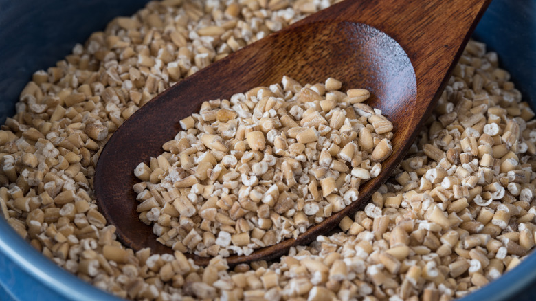 steel-cut oats on a spoon