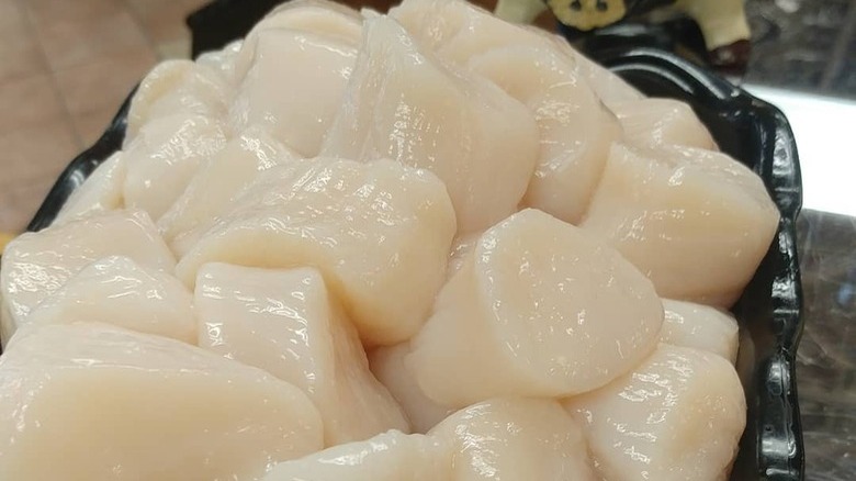 8 Types Of Scallops And What To Know About Them