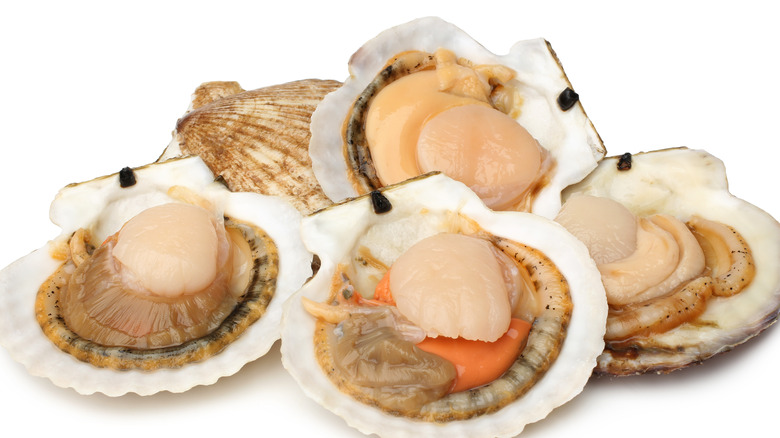 8 Types Of Scallops And What To Know About Them