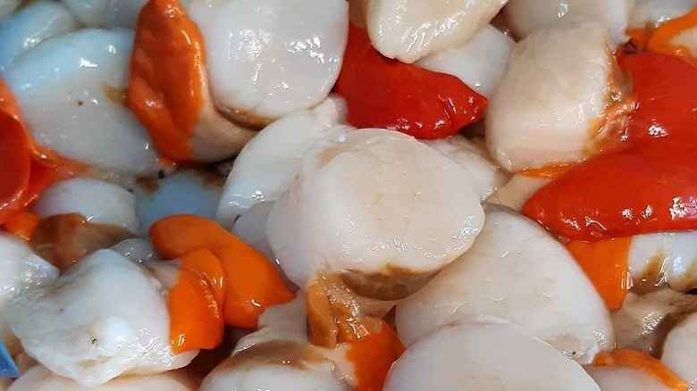 Tasmanian scallops thrown together