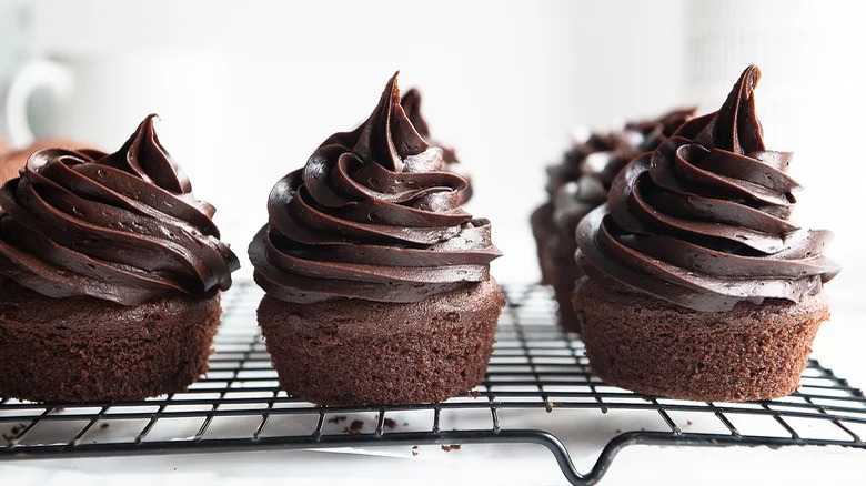 Chocolate cupcakes with frosting