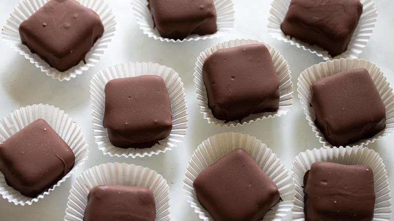 Cheesecake bites covered in chocolate