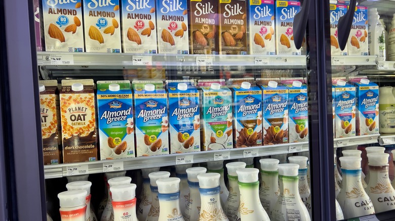 different types of milk alternatives