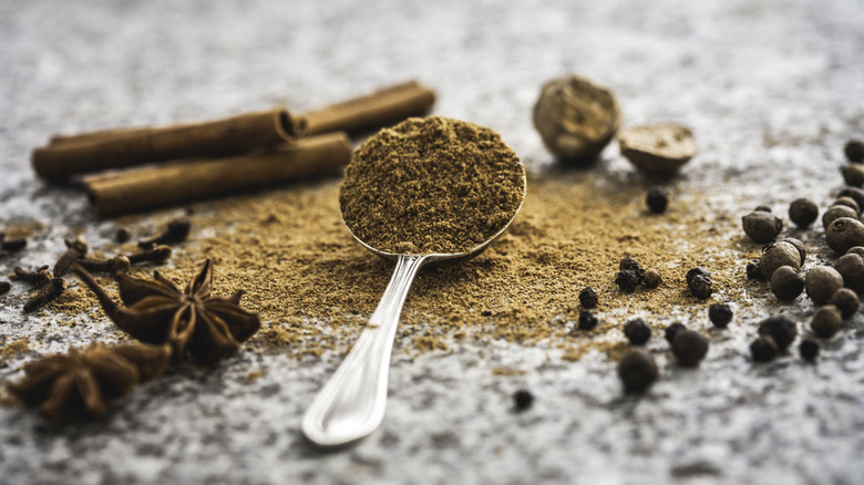 cinnamon on spoon and array of whole spices