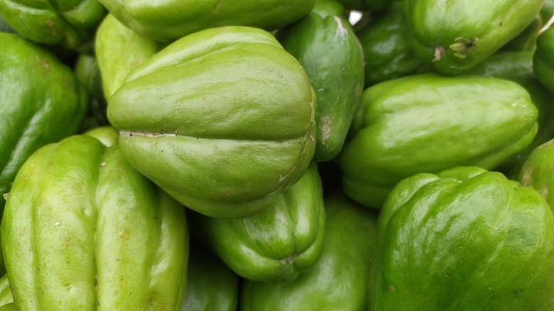 chayote piled on top of each other