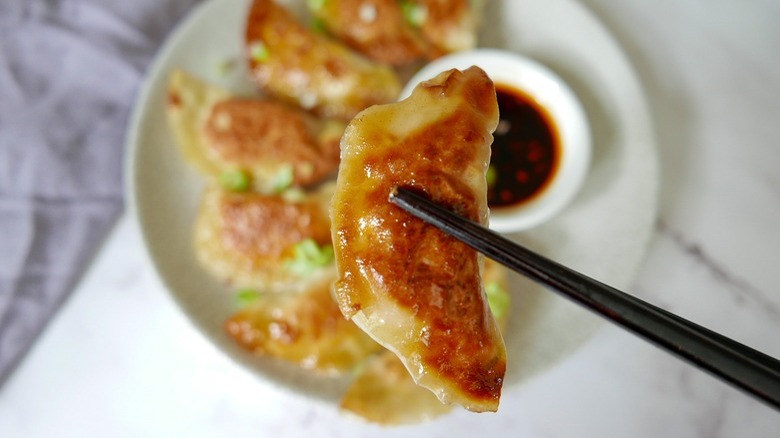 pot sticker with dipping sauce