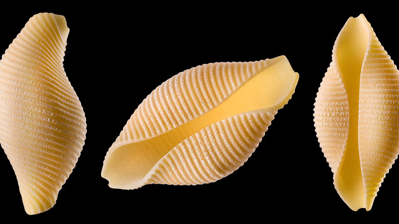 seashell-shaped pasta with ridges