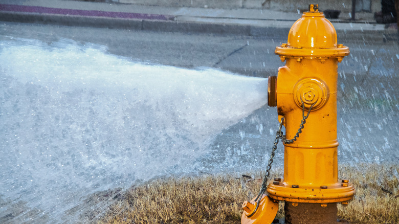 fire hydrant gushing water