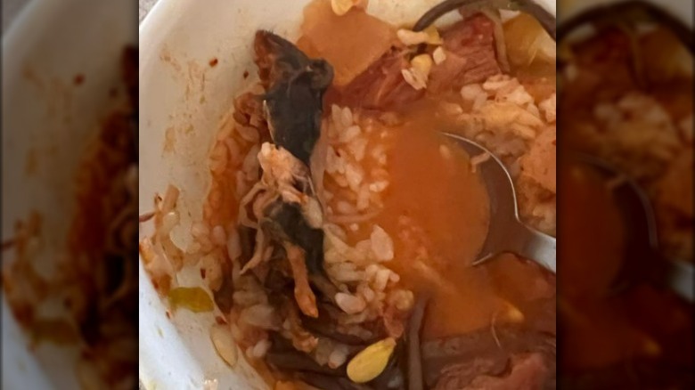 Dead mouse in soup