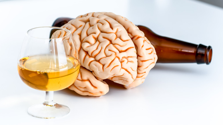 Fake human brain between a glass of alcohol and a liquor bottle