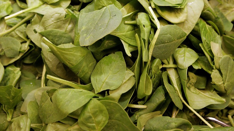 baby spinach leaves