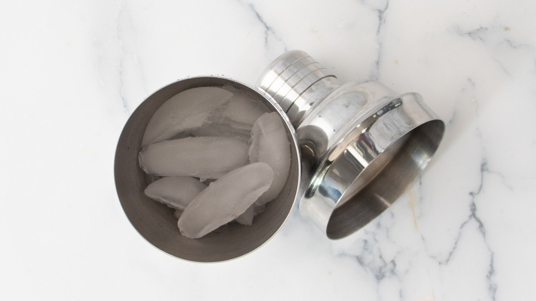 cocktail shaker with ice