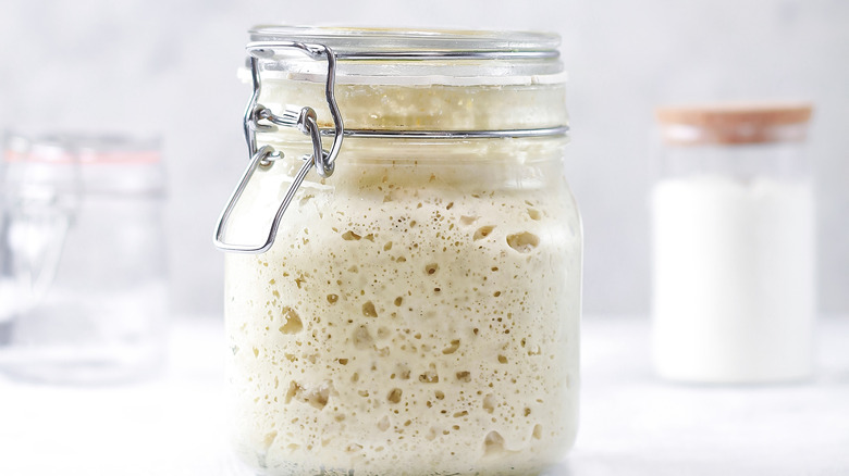 sourdough starter in jar