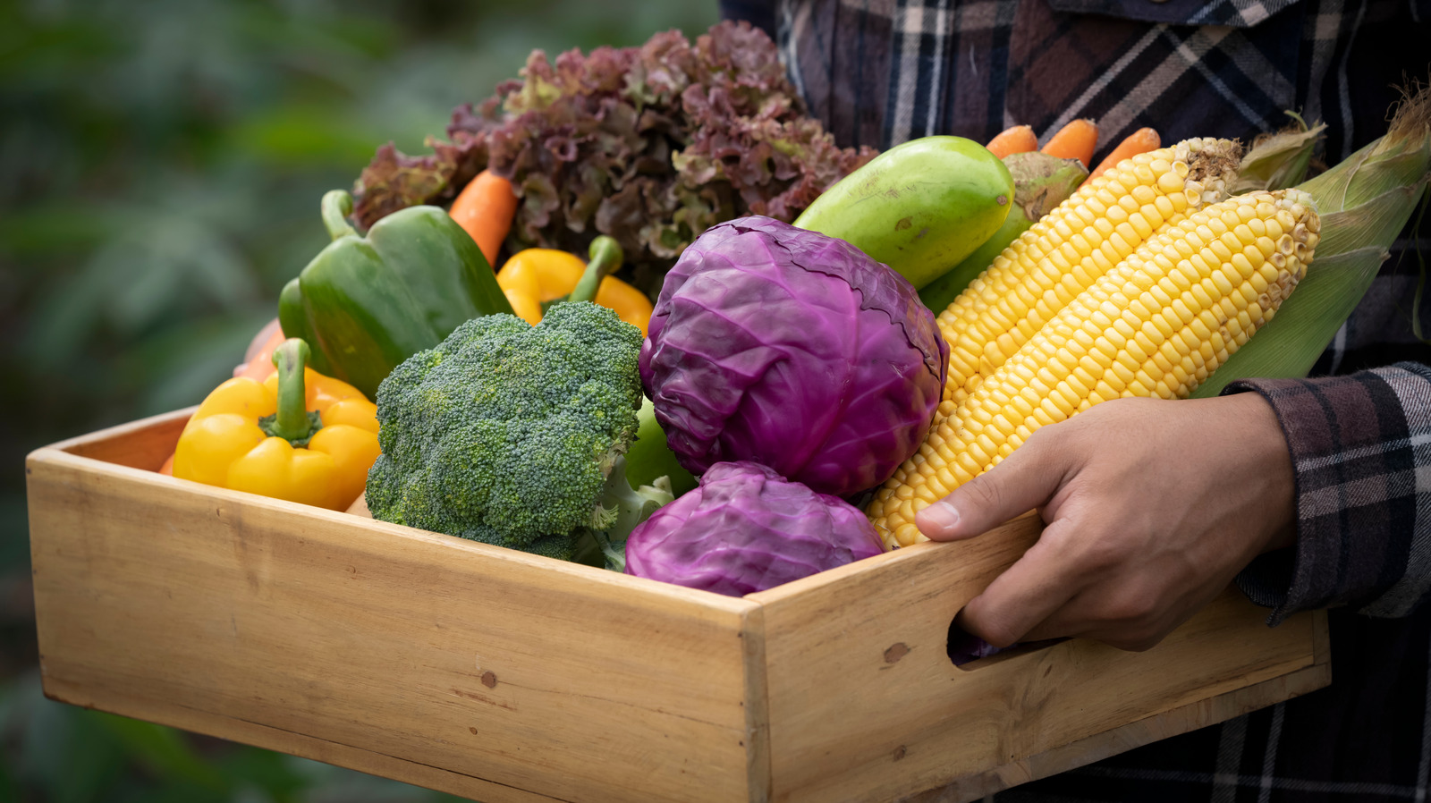 A Study Just Shed Light On Whether Raw Or Cooked Vegetables Are Healthier