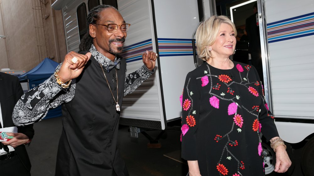 Martha Stewart and Snoop Dogg cannabis