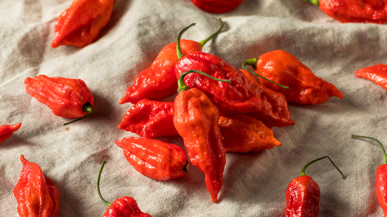 Ghost peppers on linen 