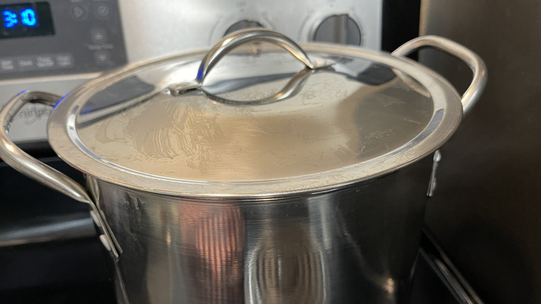 Metal pot with lid