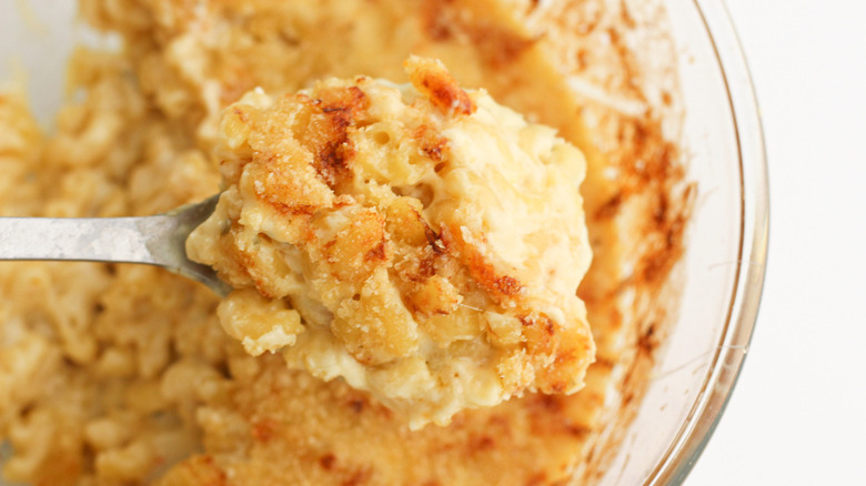 macaroni and cheese on spoon