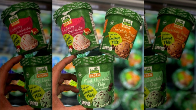 Aldi's Earth Grown vegan ice cream